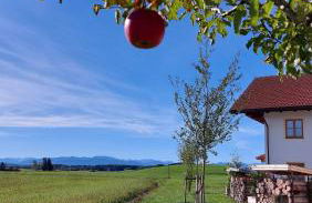 Ferienwohnung Zugspitze - Foto 12