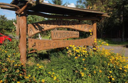 Apisoltysowka - Foto 8