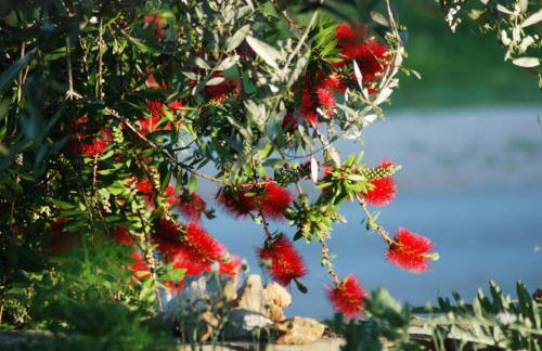 Rustic Holiday Home Miketa - Foto 31