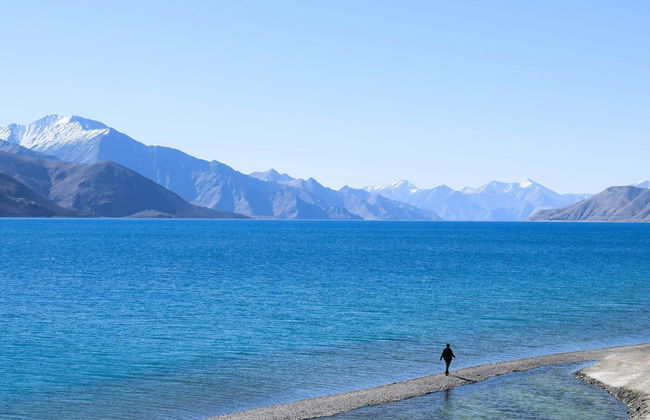 Blue Chill Cottage Pangong - Foto 31