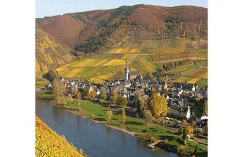 Moselwinzerhaus - Foto 9