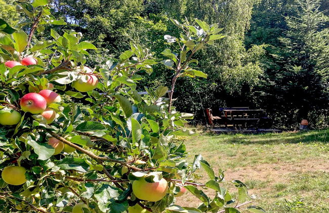 "Hannele" - 200m from the sea - Foto 14