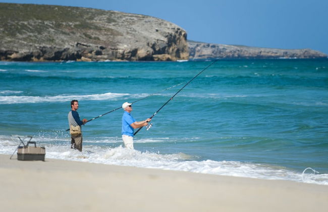 Hanson Bay Wildlife Sanctuary and Cabins - Photo 17