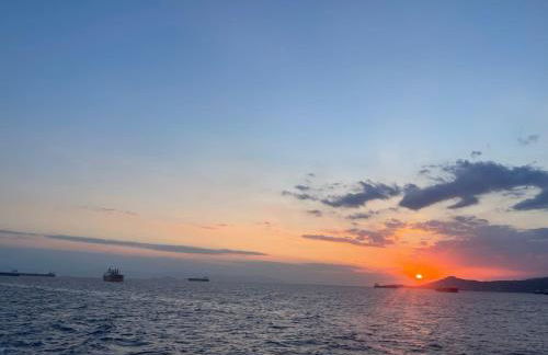 White lilies the house of gourmet flavours - Foto 49