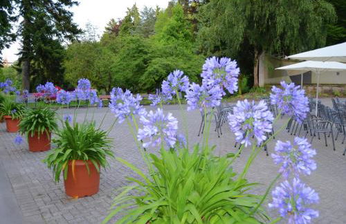 Ferienwohnung mit Eigener Terrasse in Hueddingen - Foto 44