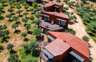 CÔA HONEYCOMB - Foto 6