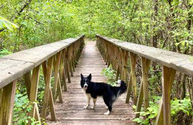 Przystanek Gałkowo - Foto 63