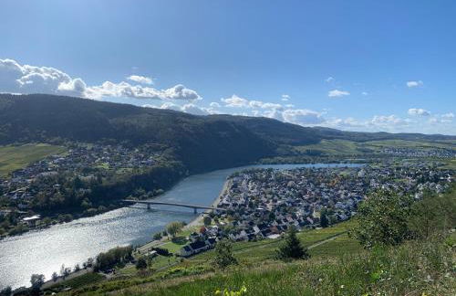 Moselglück - Foto 24