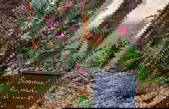 Les Pénates de Loire - Foto 66