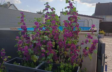 Studio neuf des amandines - Foto 10