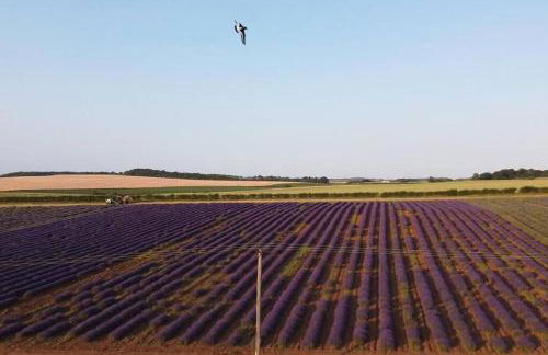 Entire Cosy bungalow close to Beach - Foto 9