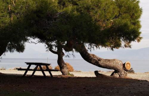 Διαμέρισμα με θέα στον Πευκιά - Foto 13