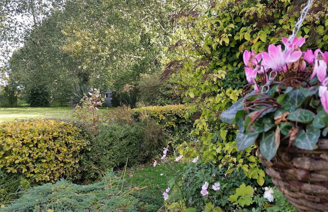 Hawthorn Farm Cottages - Foto 56