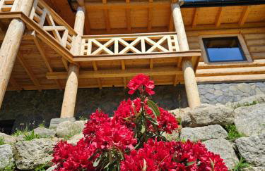 AleBale Przesieka luksusowy dom z bali z widokiem na Karkonosze - Foto 7