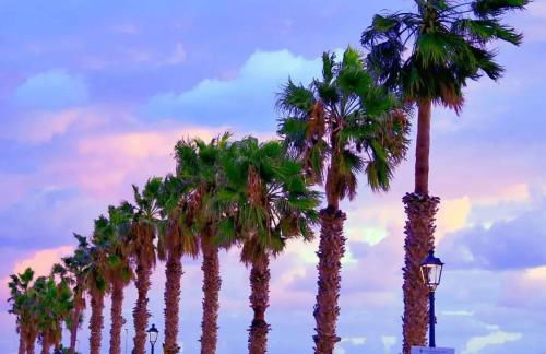 San Giorgio House - Foto 15