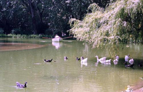 Casa dos Capinha - Photo 29