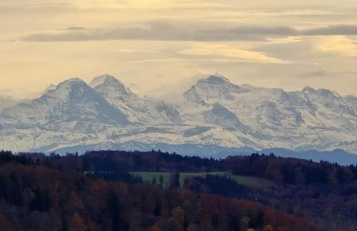 Ferienwohnung Alpensicht - Foto 24