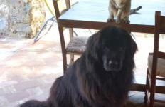 La Corte del Falco - Foto 25