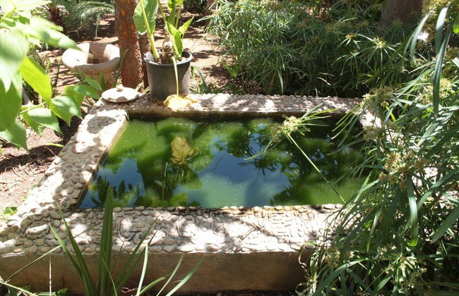 I tre Golfi Itaca - Foto 35