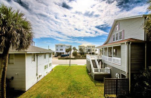 Green Parrot - Foto 7