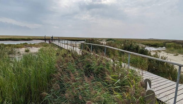 Traditional Holiday Home in Jutland near Sea - Foto 3, Miscelánea