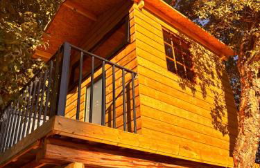 Nature Tourism Quinta Nova - Foto 13