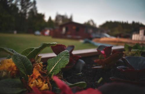 Lodge at Loch Lomond - Foto 31