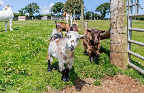 2 Bed in Callington oc-tyler - Foto 18