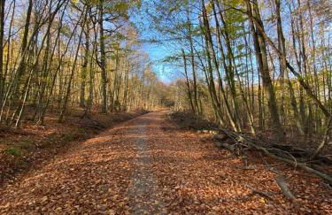 Ferienwohnung Marktstrasse - Foto 32