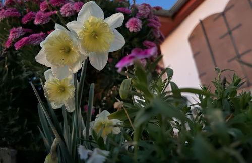 Casa rural VISTABLANCA en una sola planta con bonitas vistas y piscina - Junto a la capital y la Alhambra - Foto 47