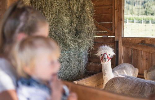 Suitehouse, Premium Apartments, Pools & Spa in Dolomites - by Familiaris - Foto 58