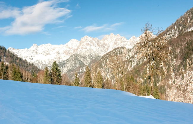 Farmhouse in Hochfilzen With Mountain View - Photo 28