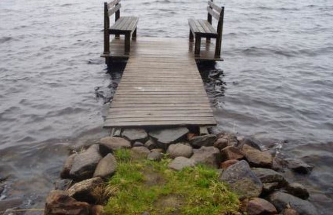 Hevonkuusi - Foto 22