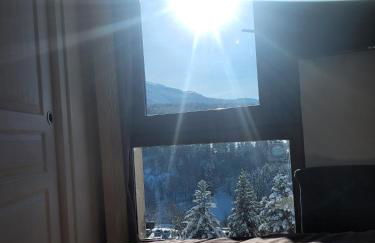 Lumineux 2 pièces vue montagne au pied des pistes avec parking privé - Foto 13