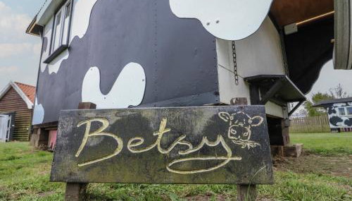 Betsy Cow Shed 2 - Foto 2