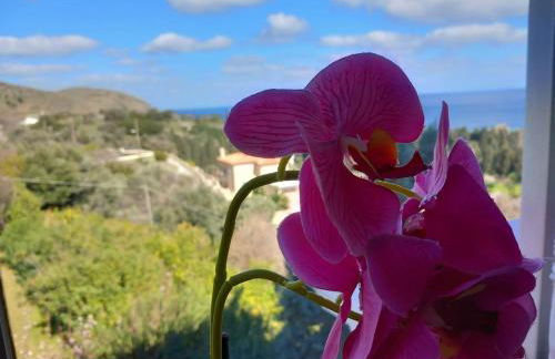 Dimitra's Apartments 4 klm away from Chora - Foto 32