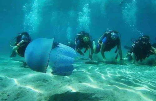 Eden Suite Paralia - Foto 43