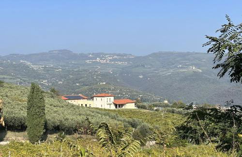 Ca' del Volo - Foto 3