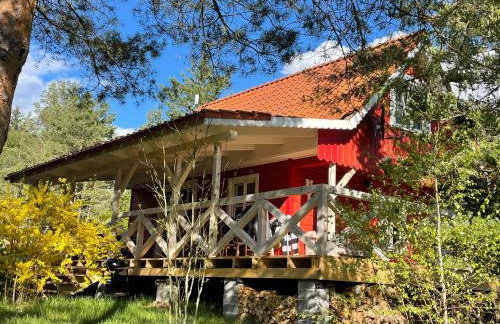 Święty Spokój Łąka i Woda - Foto 80