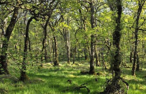 Stronafian House - Foto 18