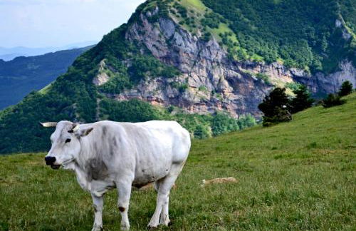 Locanda della Rocca - Foto 52