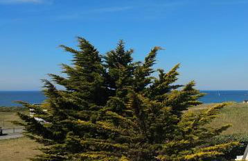 Charmant logement Guidel Plage, vue mer, piscine chauffée, avec une chambre - Foto 15