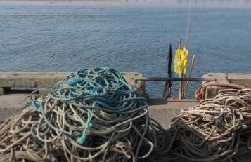 Amble Holiday Home - Photo 8