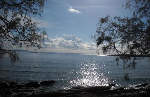 Irini Studios in Tinos - Foto 5