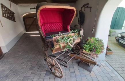 Ferienhof Obermaier - Foto 29