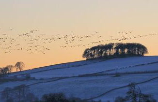 Cosy wee cottage -modern, open plan, parking, EV - Foto 20