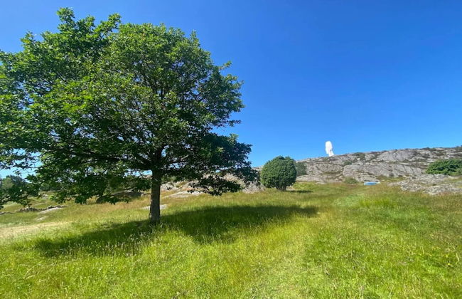 4 Person Holiday Home in Kyrkesund-by Traum - Foto 11