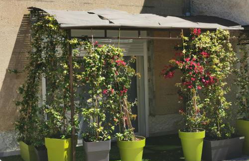 Lou Pauseto - Foto 8