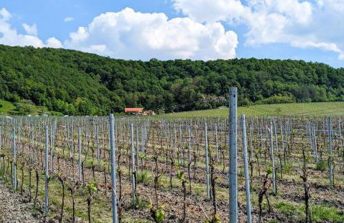 Main Resörtchen - Foto 44