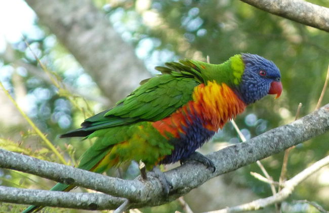 Bellthorpe Stays - Foto 68